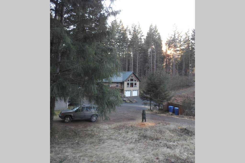 Mountainside Chalet - Tiny Home 팩우드 외부 사진