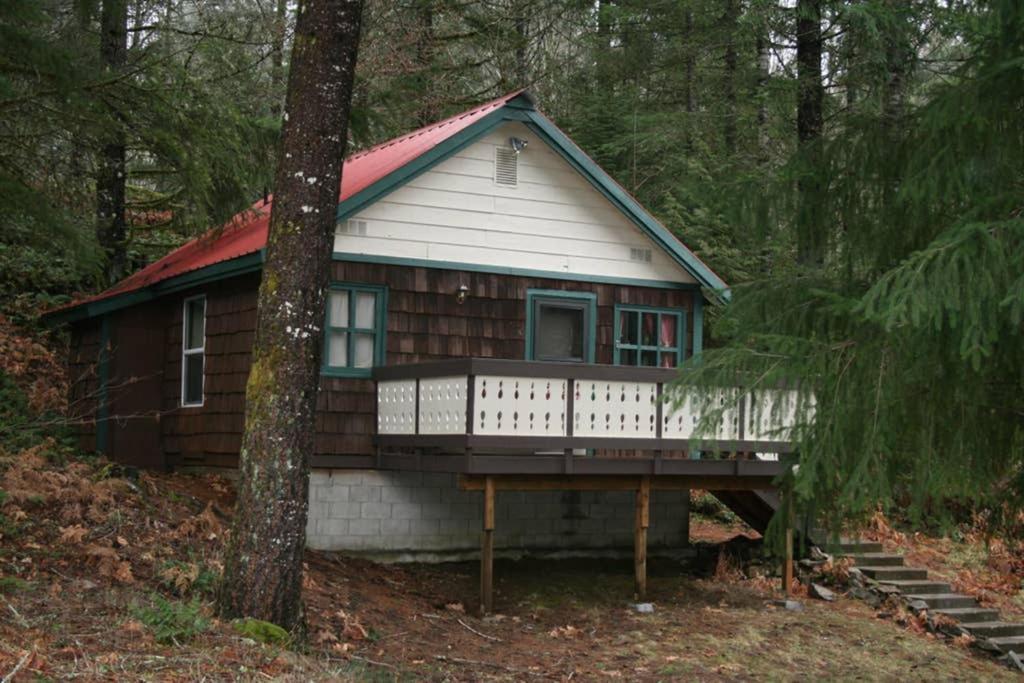 Mountainside Chalet - Tiny Home 팩우드 외부 사진